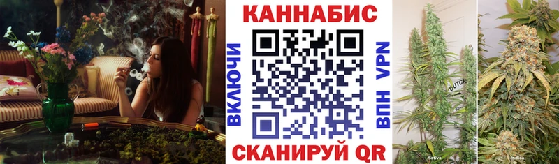 купить наркотик  Благовещенск  гидра ONION  Каннабис сатива 